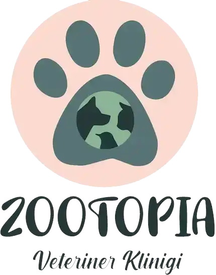 Zootopia Veteriner Kliniği